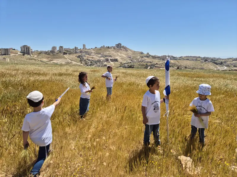 ילדים בשדה חיטה זהוב, מטיילים במרחבים סביב היישוב